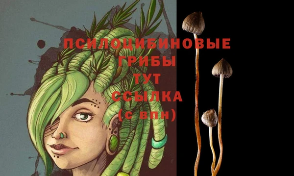 синтетический гашиш Вяземский