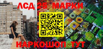 МДПВ Заводоуковск