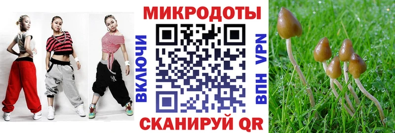 Галлюциногенные грибы MAGIC MUSHROOMS  цены   площадка какой сайт  Шадринск 