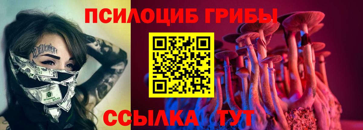 Галлюциногенные грибы GOLDEN TEACHER Шадринск