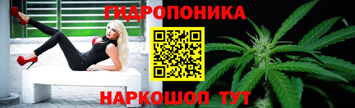 Шадринск  Шишки марихуана индика  МАРИХУАНА план  Каннабис тримм  Каннабис OG Kush  Вход с VPN 